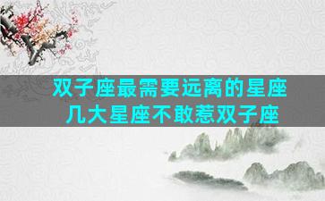 双子座最需要远离的星座 几大星座不敢惹双子座